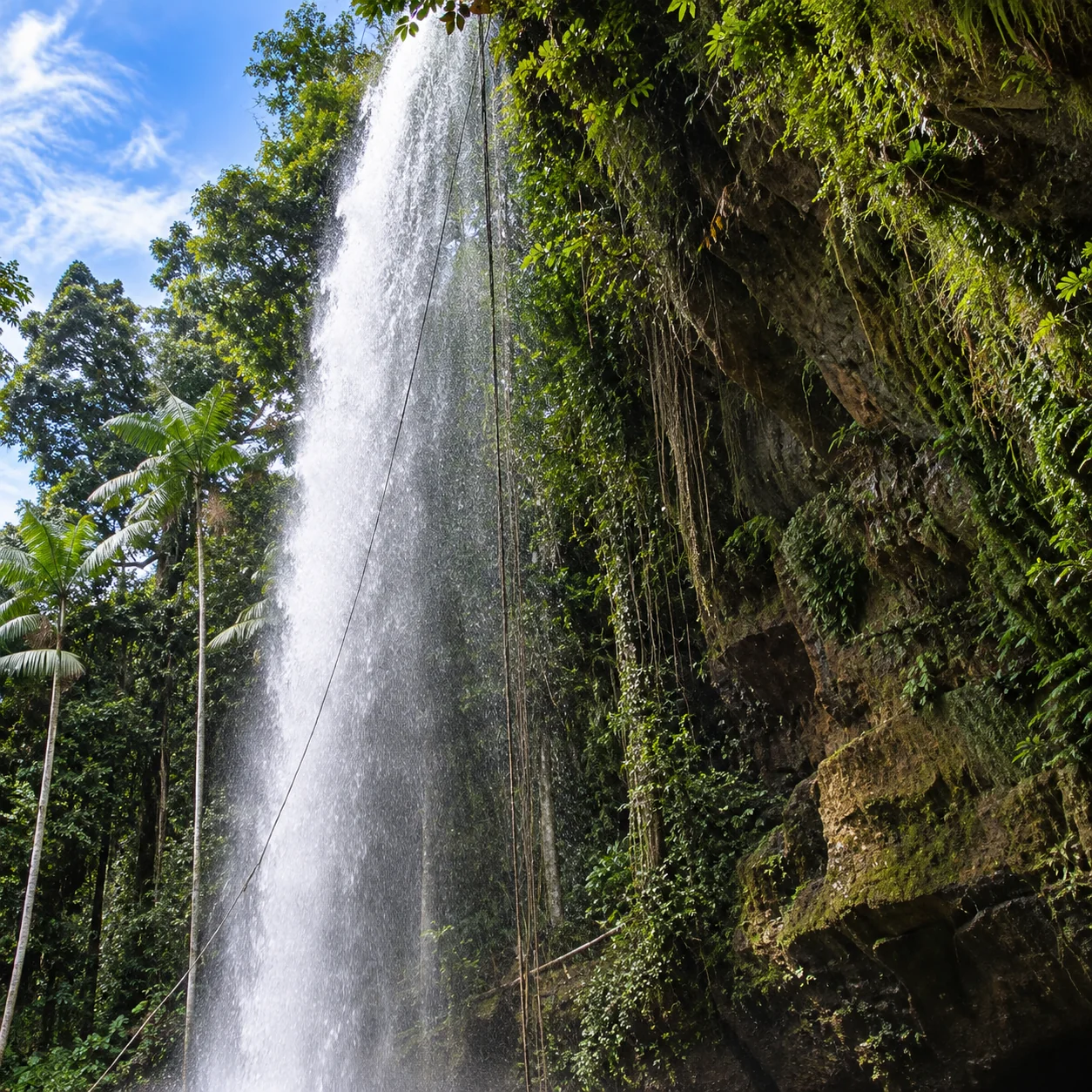 Queda d'água junto à vegetação do Sítio Raízes do Xingu
